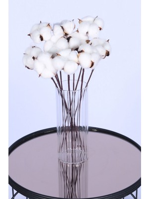 Yapay Çiçek Sitesi Doğal Beyaz Pamuk Çiçeği 10LU 30 cm