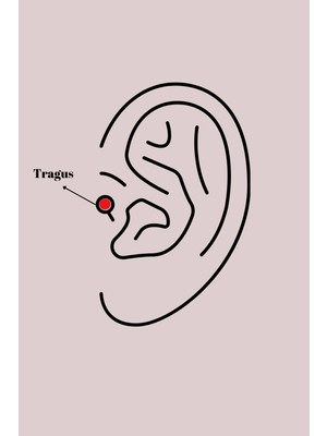 İsmiyle Al 316L Çelik Gümüş Renk Zirkon Taşlı Dal Tragus Piercing