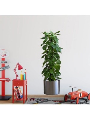 İsmiyle Al Saksılı Bitki Tasarımlı Yapışkanlı Sticker Resim 90*30 cm (5047)