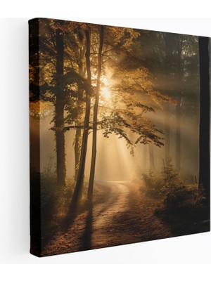 Popcas  Sonbahar Manzara Kanvas Tablo Sisli Orman Sabahı