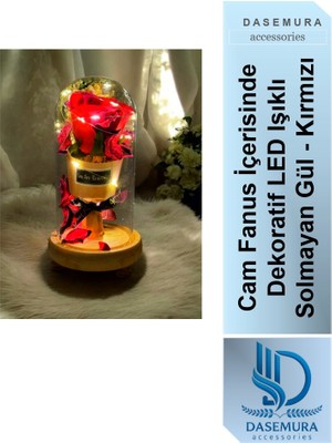 Dasemura Sevgilliler Günü, Cam Fanus Içerisinde Dekoratif LED Işıklı Solmayan Gül - Kırmızı