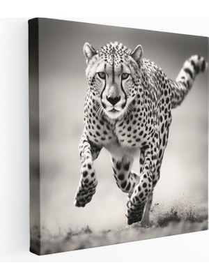 Popcas  Siyah Beyaz Cheetah Kanvas Tablo Cheetah Ev Dekorasyonu