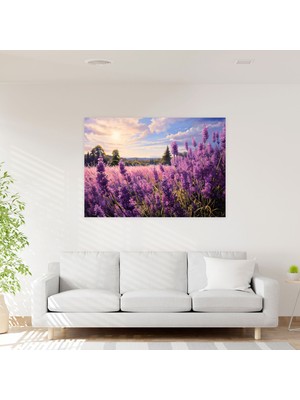 Popcas  Lavanta Tarlası Kanvas Tablo Ev Dekorasyonu Için Duvar Sanatı