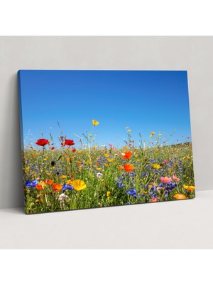 Popcas  Çiçeklerin Açtığı Claude Monet Kanvas Tablo