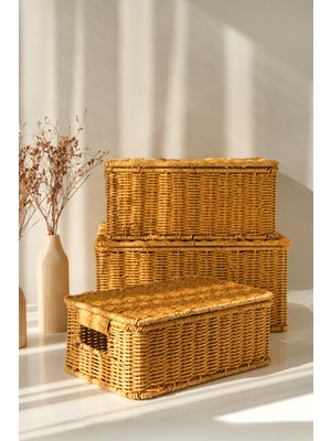 Avantage Home Guiliana -3 Lü Rattan Kapaklı Dikdörtgen Organizer Çok Amaçlı Sepet Seti