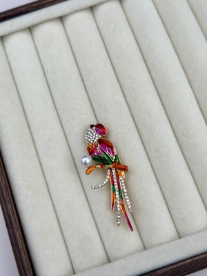 Luseda İthal Renkli Papağan Broş
