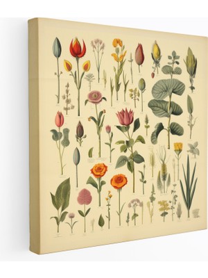 Popcas  Yapraklar Kanvas Tablo - Yapraklar Vintage Duvar Sanatı Duvar Dekorasyonu