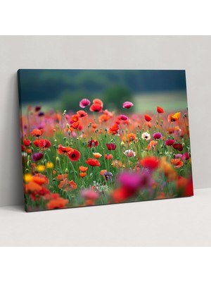Popcas  Çiçek Tarlası Claude Monet Kanvas Tablo Duvar Sanatı