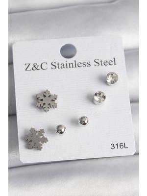 Lowell Home Ieg 316L Çelik Gümüş Renk Zirkon Taşlı Kar Tanesi Model Kadın Küpe Seti LWLBJ-RSIEG2346