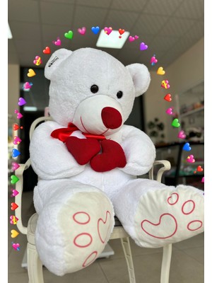 Güneş Beyaz Ayıcık