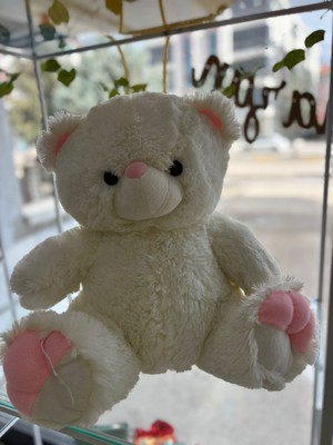 Fashion Krem Rengi Peluş Ayıcık