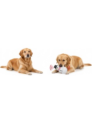 NW NessiWorld Sesli Kardan Adam Tasarımlı Oyuncak