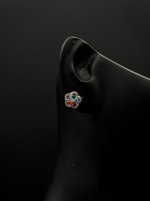 Rainbow Garden Mix Taşlı (Çiftli) 925 Ayargümüş Küpe