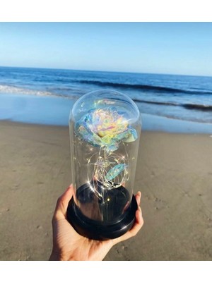 Ledli Fanus Içinde Solmayan Gül