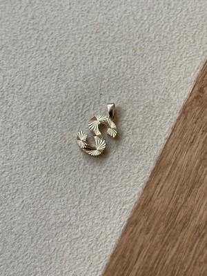 Rupen Kraft 14 Ayar Gramajlı Altın Kolye Ucu Füzyon 3 Boyutlu S Harfi Altın Kolye Ucu