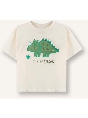 DeFacto Regular Fit Dinozor Baskılı Kısa Kollu Tişört Erkek Bebek E1072A526SM
