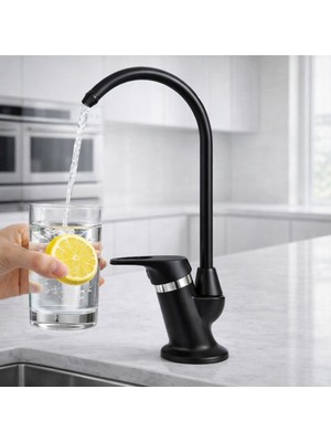 Musluq Siyah Küçük Arıtmalı Musluğu Bataryası Pirinç Gövde Arıtma Musluğu Modern