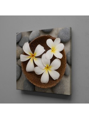 Technopa SPA TAŞLARI VE PAPATYA TEMALI KANVAS TABLO - 60x60cm