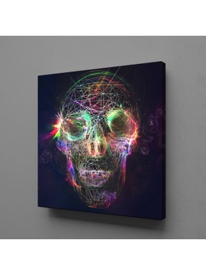 Technopa RENKLİ KURU KAFA KANVAS TABLO - 80x80cm