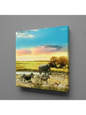 Technopa FİL VE ZEBRALAR KANVAS TABLO - 170x170cm
