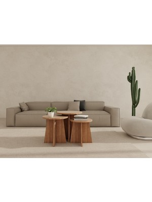 MasifMarket Mantar Üçlü Zigon Sehpa  Marbellakiraz Renk