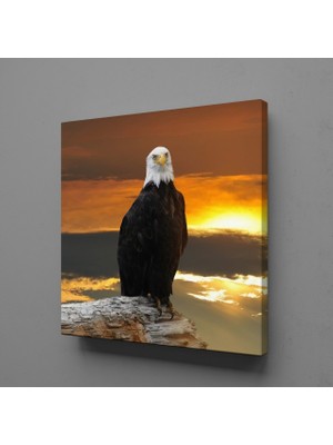 Technopa KARTAL KANVAS TABLO - 180x180cm