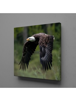 Technopa KARTAL KANVAS TABLO - 70x70cm