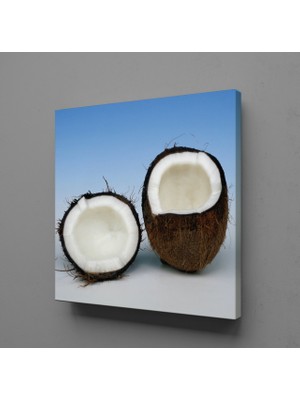 Technopa HİNDİSTAN CEVİZİ KANVAS TABLO - 25x25cm
