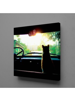 Technopa ARABADA KEDİ KANVAS TABLO - 110x110cm