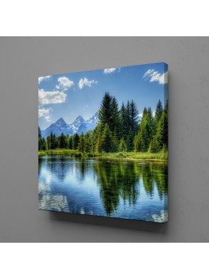 Technopa AĞAÇ YANSIMASI KANVAS TABLO - 100x100cm