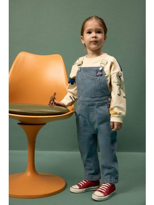 DeFacto Dinozor Desenli Sweatshirt Erkek Bebek G8041A526SP