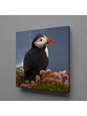 Technopa ÜZGÜN KUŞ KANVAS TABLO - 60x60cm