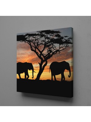 Technopa FİLLER KANVAS TABLO - 30x30cm