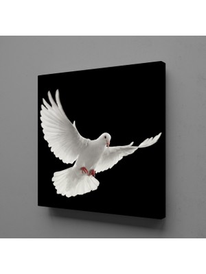 Technopa BEYAZ KUŞ KANVAS TABLO - 80x80cm