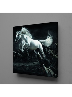 Technopa BEYAZ AT KANVAS TABLO - 30x30cm