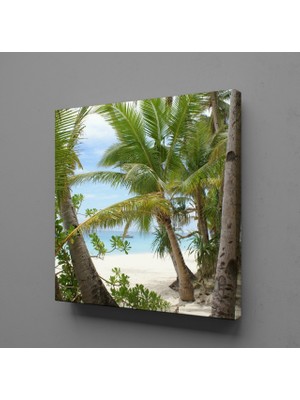 Technopa PALMİYE AĞAÇLARI KANVAS TABLO - 30x30cm