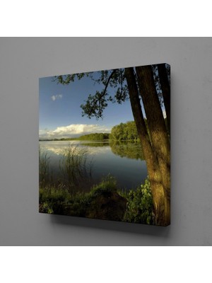 Technopa ORMAN AKARSU GÖKYÜZÜ KANVAS TABLO - 70x70cm