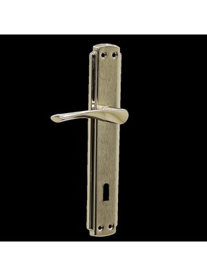 Veralya Bravo Oda Gri Nikel Kapı Kolu Takım