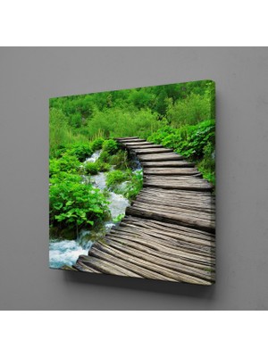 Technopa DOĞADAKİ KÖPRÜ KANVAS TABLO - 80x80cm