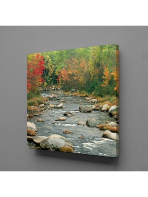 Technopa DEREDEKİ TAŞLAR KANVAS TABLO - 40x40cm