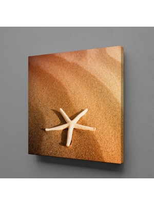 Technopa DENİZ YILDIZI KANVAS TABLO - 70x70cm