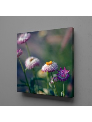 Technopa PEMBE BEYAZ ÇİÇEKLER KANVAS TABLO - 60x60cm