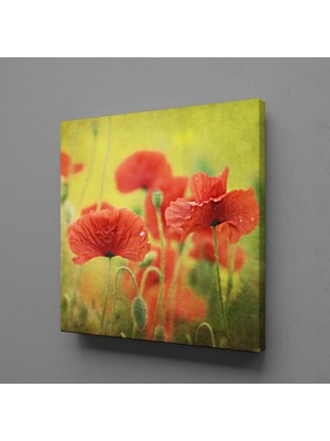 Technopa KIRMIZI ÇİÇEKLER KANVAS TABLO - 140x140cm