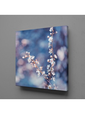 Technopa ÇİÇEK BÜYÜSÜ KANVAS TABLO - 25x25cm