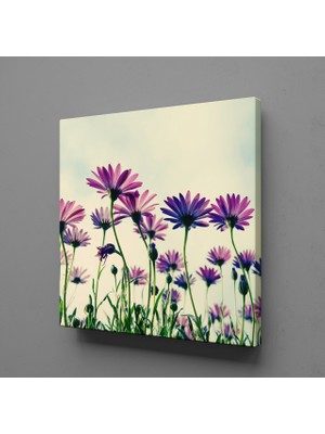 Technopa ÇİÇEK BAHÇESİ KANVAS TABLO - 140x140cm