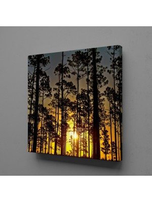 Technopa AĞAÇLAR KANVAS TABLO - 90x90cm