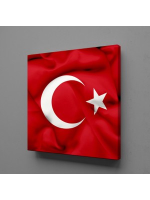 Technopa TÜRKİYE BAYRAĞI KANVAS TABLO - 150x150cm