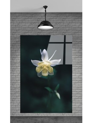 Beta Moda Hub Çiçek Dekoratif Temperli Cam Tablo