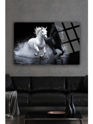 Beta Moda Hub Siyah Beyaz Görkemli Asil Atlar Lüks Kırılmaz Cam Tablo Ev Hediyesi Iş Yeri Hediyesi