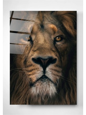 Beta Moda Hub Aslan Cam Tablo